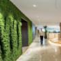 Moss Walls