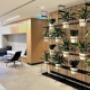 Vertical Gardens