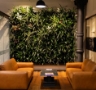 Green Walls