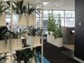 Bespoke Living Walls