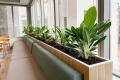 Tambour & Joinery Planters
