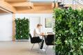 Mobile-Green-Walls