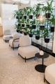 Vertical Gardens