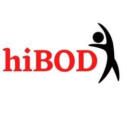 HiBOD Massage Chairs Australia