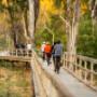 Horsehoe Lagoon Bike Ride Echuca Moama