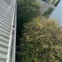 Gutter Cleaner Near Geelong