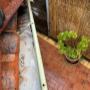Gutter Guard experts Geelong
