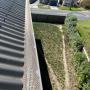 clean gutters geelong