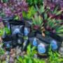 Our Products
