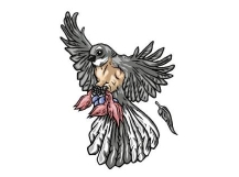 Forty Feathers