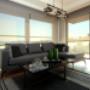 Roller Blinds (Day and Night)