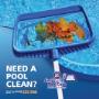 One-off and Regular Pool Cleaning