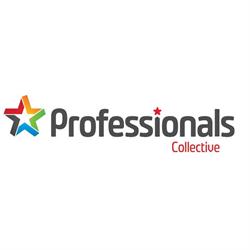 Professionals Collective