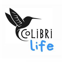 Colibri productions