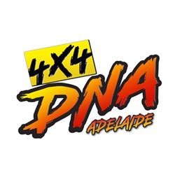 4x4 DNA