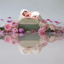 Vimage Photography