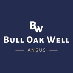 Bull Oak Well Angus