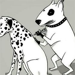 Geelong Laser Tattoo Removal