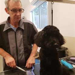 Peninsula Dog Spa