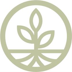 Seeds Montessori Mawson Lakes