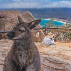 Wineglass Bay Discovery Tours