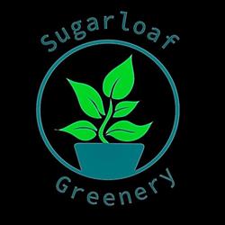 Sugarloaf Greenery