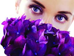 Beauty by Bec