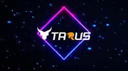 TARUS Computers