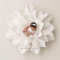 Tiny Feet Photography