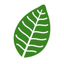 The Landscape Store
