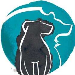 Bear Marketing