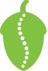 Health Within Chiropractic