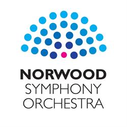 Norwood Symphony Orchestra