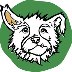 Mutts Cafe & Restaurant in Exmouth