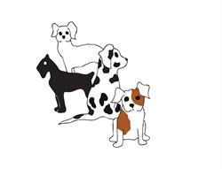 Lyndhurst Lodge Pet Resort