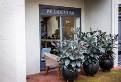 Palladium Hair