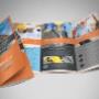 Flyers & Brochures