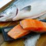 freshest seafood
