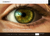 Senspoint Designs's website