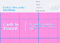 Celtic Security Services's website