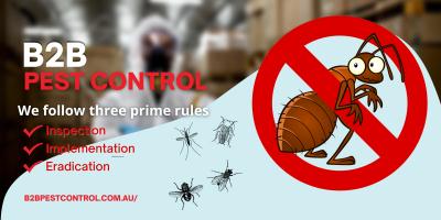 b2b-pest-control