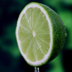 Simone Goulding Naturopath