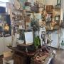 Shop front1