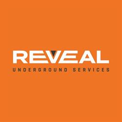 Reveal Underground Services