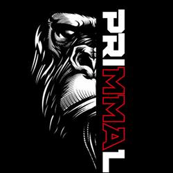 Primal MMA