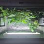 prop tent
