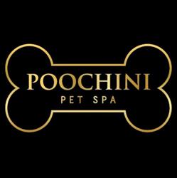 Poochini Pet Spa