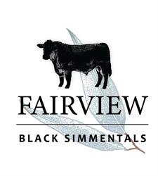 Fairview Black Simmentals