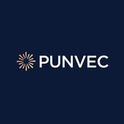 The Punvec Group