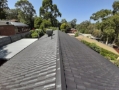 Roof Painting Box Hill